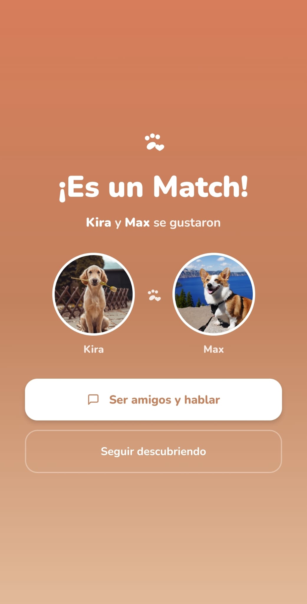 Match celebración